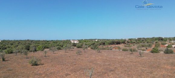  قطعة أرض في Ses Salines, Spain 17000متر مربع رقم 91949 5