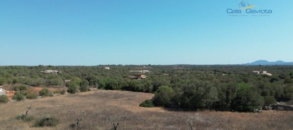  قطعة أرض في Ses Salines, Spain 17000متر مربع رقم 91949 2