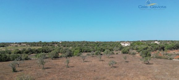  قطعة أرض في Ses Salines, Spain 17000متر مربع رقم 91949 3