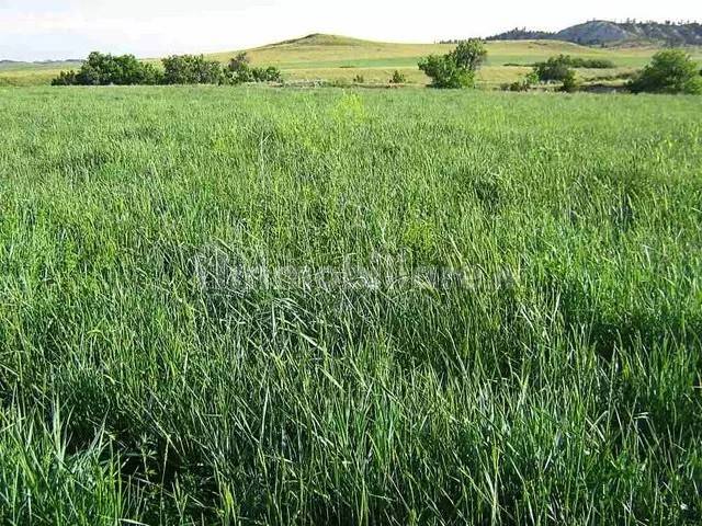 Земельный участок 6290м² в Понти суль Минчо, Италия № 260199