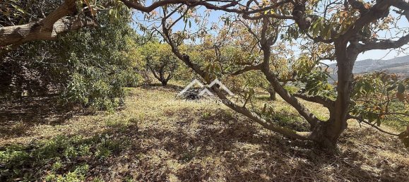 Terreno em Frigiliana, Spain N.º 156166 2