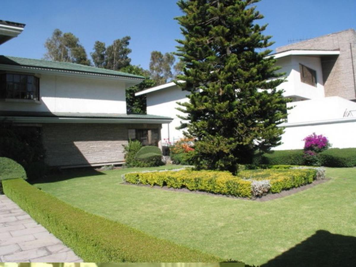 Casa T4 em Ciudad Lopez Mateos, Mexico N.º 218631