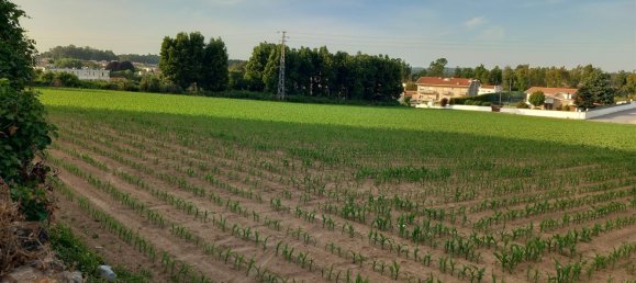 12500m² Land in Vila do Conde, Portugal No. 82450 6