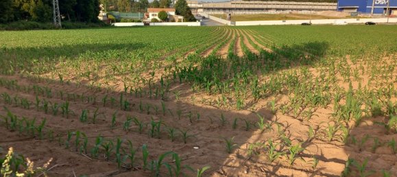 12500m² Land in Vila do Conde, Portugal No. 82450 7