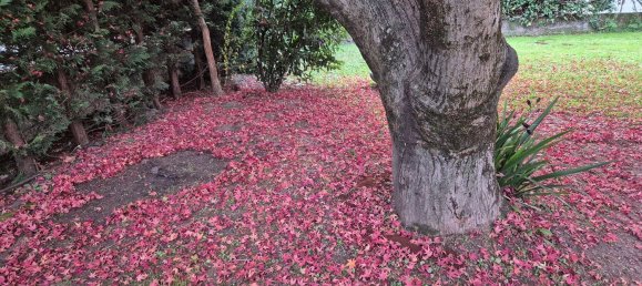 6 rooms Apartment in Trento, Italy No. 167080 2