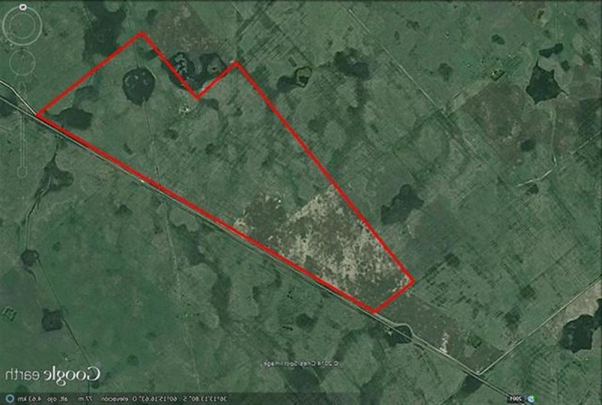 Terrain à General Alvear, Argentina No. 30834