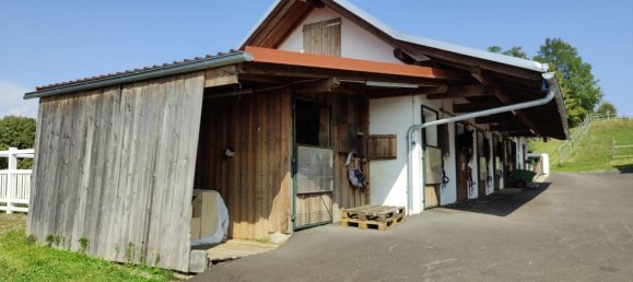 120m² Commercial property in Nestelbach bei Graz, Austria No. 129331 16