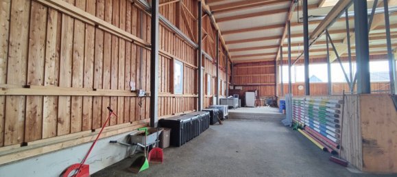 120m² Commercial property in Nestelbach bei Graz, Austria No. 129331 8