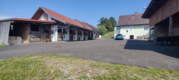 120m² Commercial property in Nestelbach bei Graz, Austria No. 129331 3