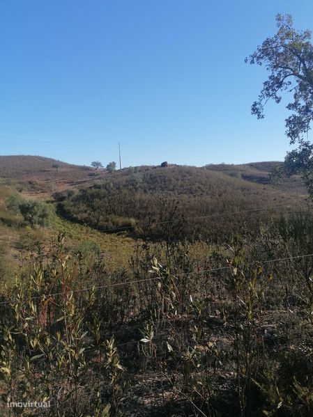 170000m² Land in Sao Teotonio, Portugal No. 281718