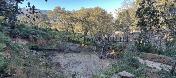 543m² Land in Sotta, France No. 40671 4