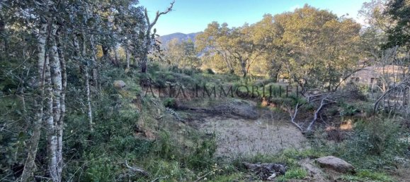 543m² Land in Sotta, France No. 40671 5