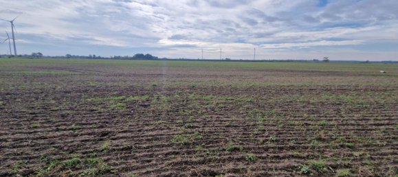 4 bedrooms Farm in Markisch-Oderland, Germany No. 341790 13