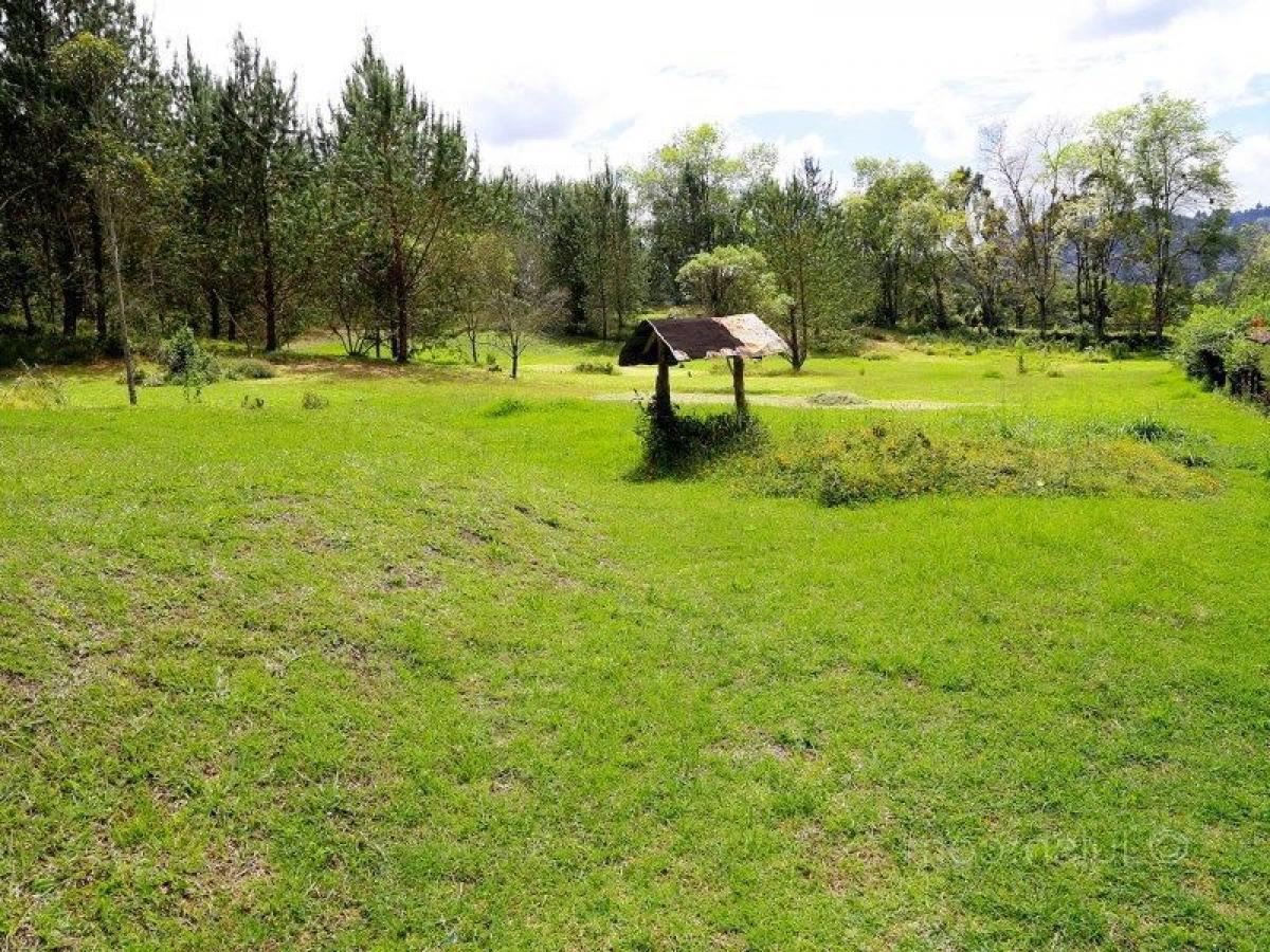  Land in Antioquia, Colombia No. 756