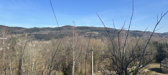 4 غرف نوم منزل في Gerardmer, France رقم 81795 29