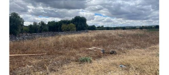 5000m² Land in Monopoli, Italy No. 280089 19