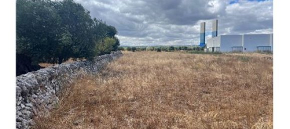 5000m² Land in Monopoli, Italy No. 280089 6