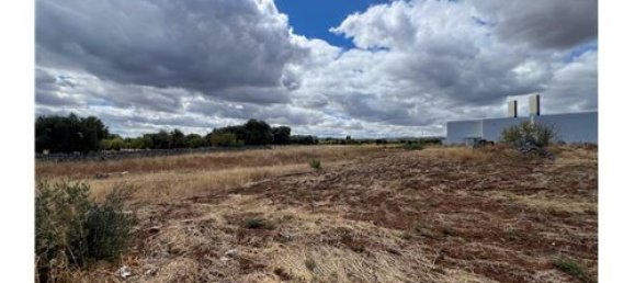 5000m² Land in Monopoli, Italy No. 280089 11