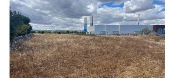 5000m² Land in Monopoli, Italy No. 280089 8