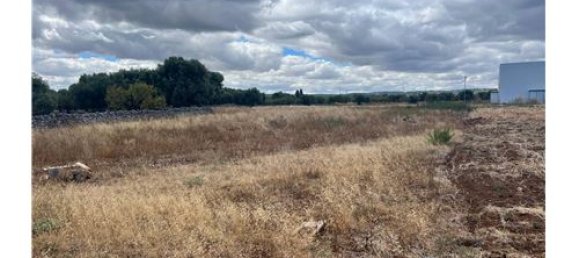 5000m² Land in Monopoli, Italy No. 280089 16