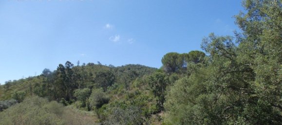 Grundstück in Silves, Portugal 292400m², Nr. 77603 7