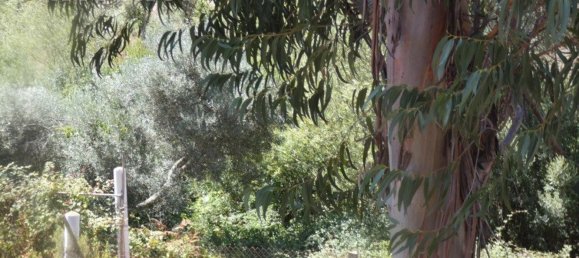 Grundstück in Silves, Portugal 292400m², Nr. 77603 15