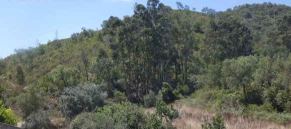 Grundstück in Silves, Portugal 292400m², Nr. 77603 14