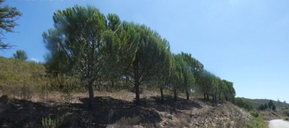 Grundstück in Silves, Portugal 292400m², Nr. 77603 3