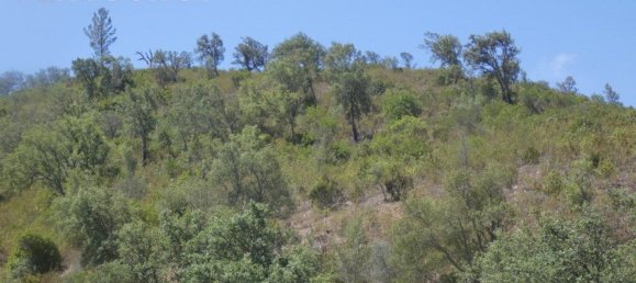 Grundstück in Silves, Portugal 292400m², Nr. 77603 22