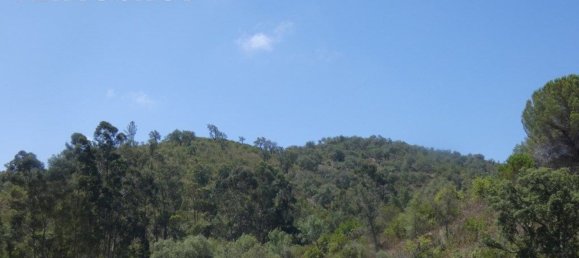 Grundstück in Silves, Portugal 292400m², Nr. 77603 11