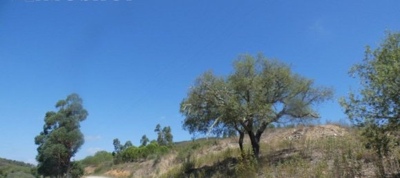 Grundstück in Silves, Portugal 292400m², Nr. 77603 31