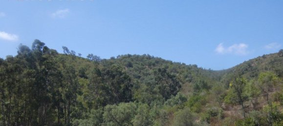 Grundstück in Silves, Portugal 292400m², Nr. 77603 12