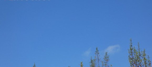 Grundstück in Silves, Portugal 292400m², Nr. 77603 26