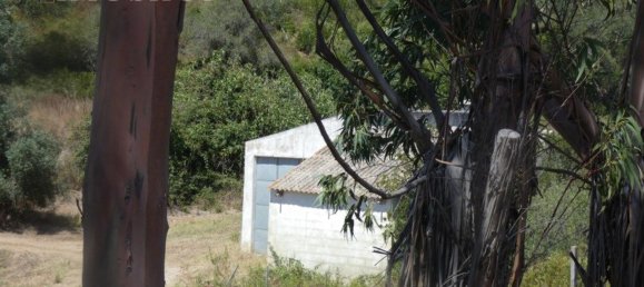 Grundstück in Silves, Portugal 292400m², Nr. 77603 16