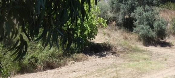 Grundstück in Silves, Portugal 292400m², Nr. 77603 17