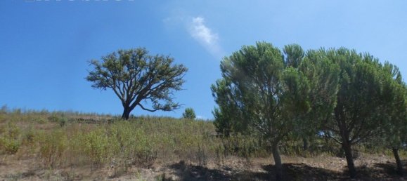 Grundstück in Silves, Portugal 292400m², Nr. 77603 4