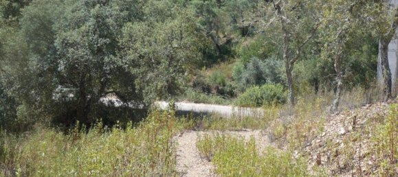 Grundstück in Silves, Portugal 292400m², Nr. 77603 24