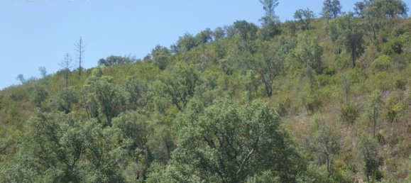 Grundstück in Silves, Portugal 292400m², Nr. 77603 18