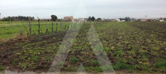 2990m² Land in Aveiro, Portugal No. 93226 4