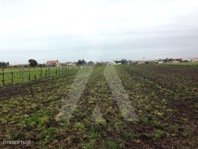 2990m² Land in Aveiro, Portugal No. 93226