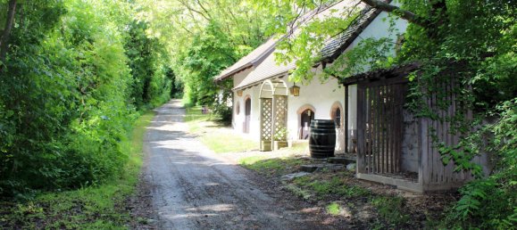 5 rooms House in Sierndorf, Austria No. 154131 14