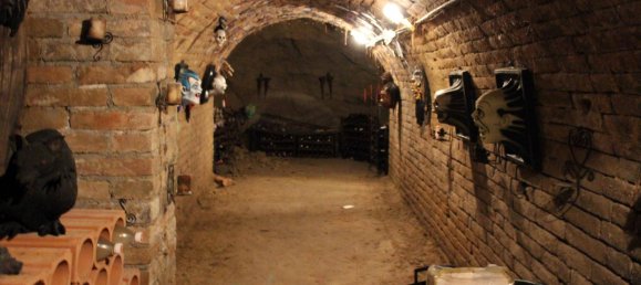 5 rooms House in Sierndorf, Austria No. 154131 20