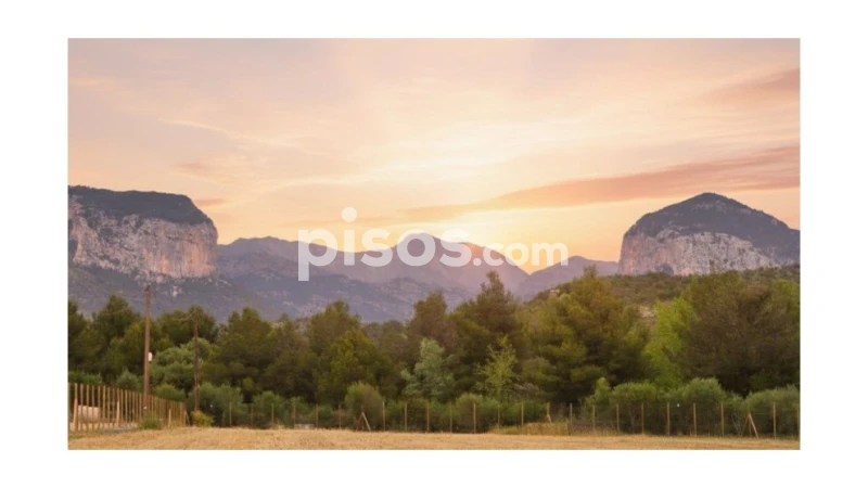  Land in Alaro, Spain No. 272959