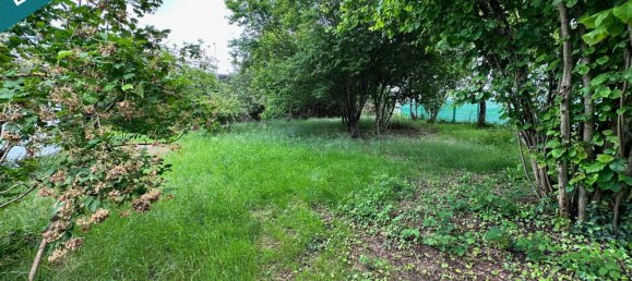 Дом с 4 спальнями в Оливе, Франция № 60923 6