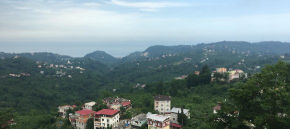 Villa 4+1 in Arsin, Turkey No. 20685 4