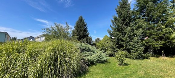  Land in Hard, Austria No. 226856 5