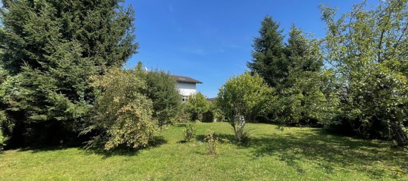  Land in Hard, Austria No. 226856 4