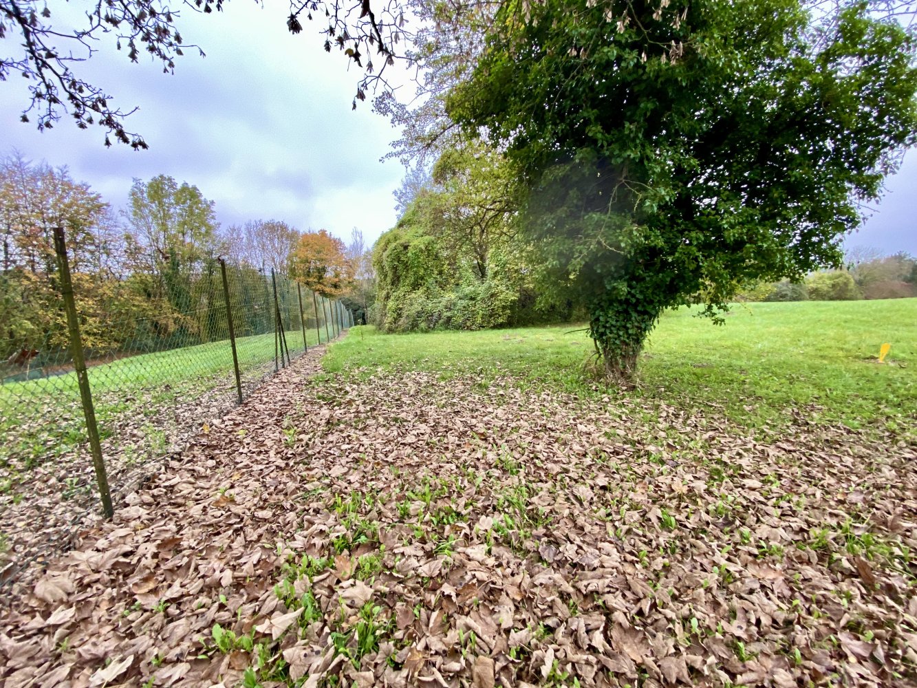 991m² Land in Coyolles, France No. 214840