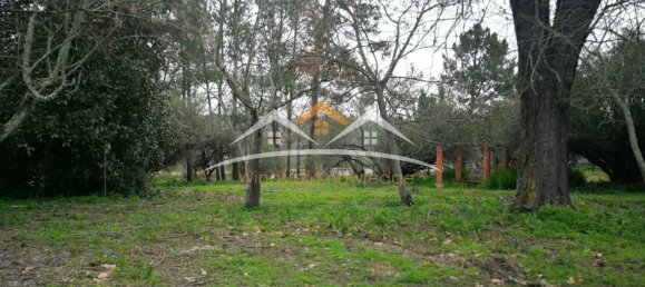 10 chambres Châteaux à Tramagal, Portugal No. 29945 4