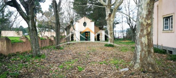 10 chambres Châteaux à Tramagal, Portugal No. 29945 11